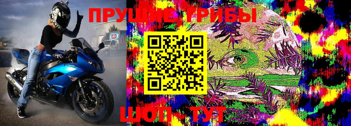 Галлюциногенные грибы Psilocybine cubensis  Вход с VPN  Псилоцибиновые грибы Psilocybine cubensis  магазин продажи   Тында 